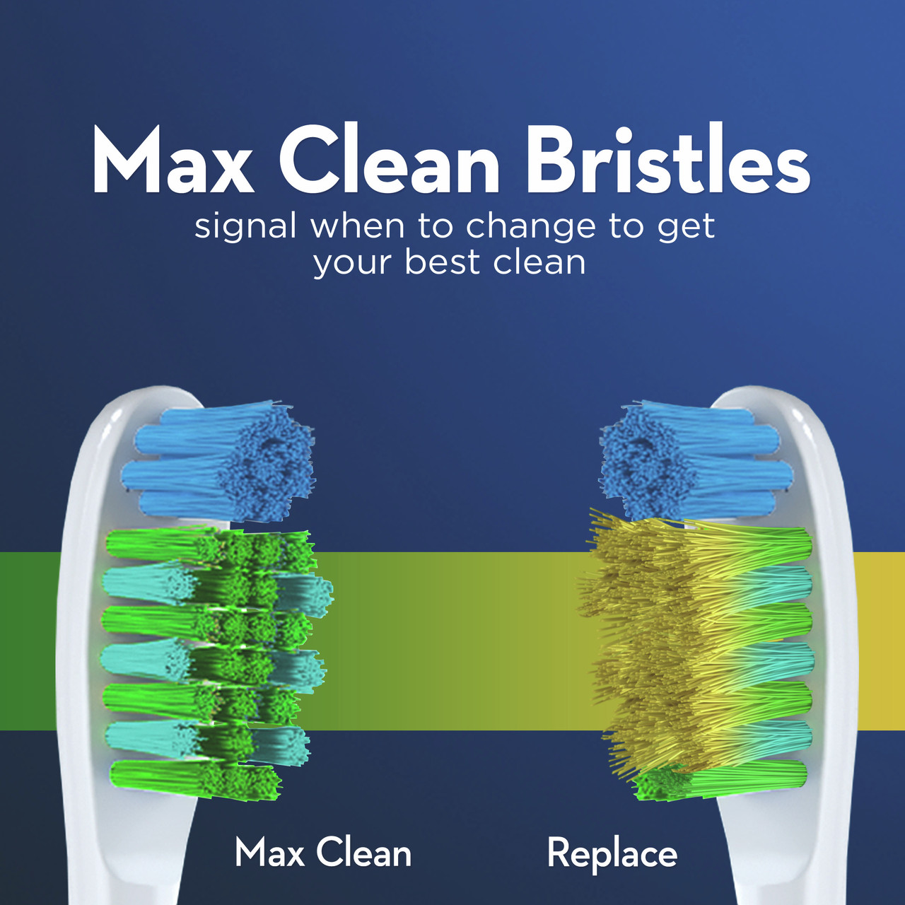 Bacteria Blast Manual Toothbrushes - Image 7