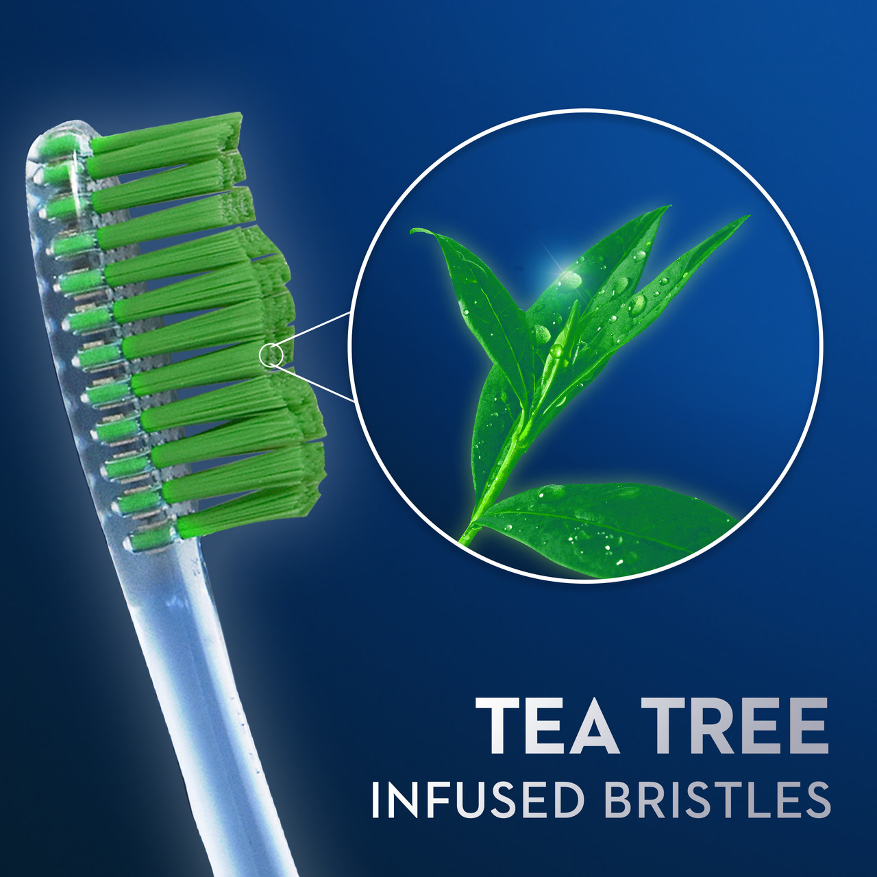 Oral-B Toothbrush with Tea Tree Infused Bristles - Image 4